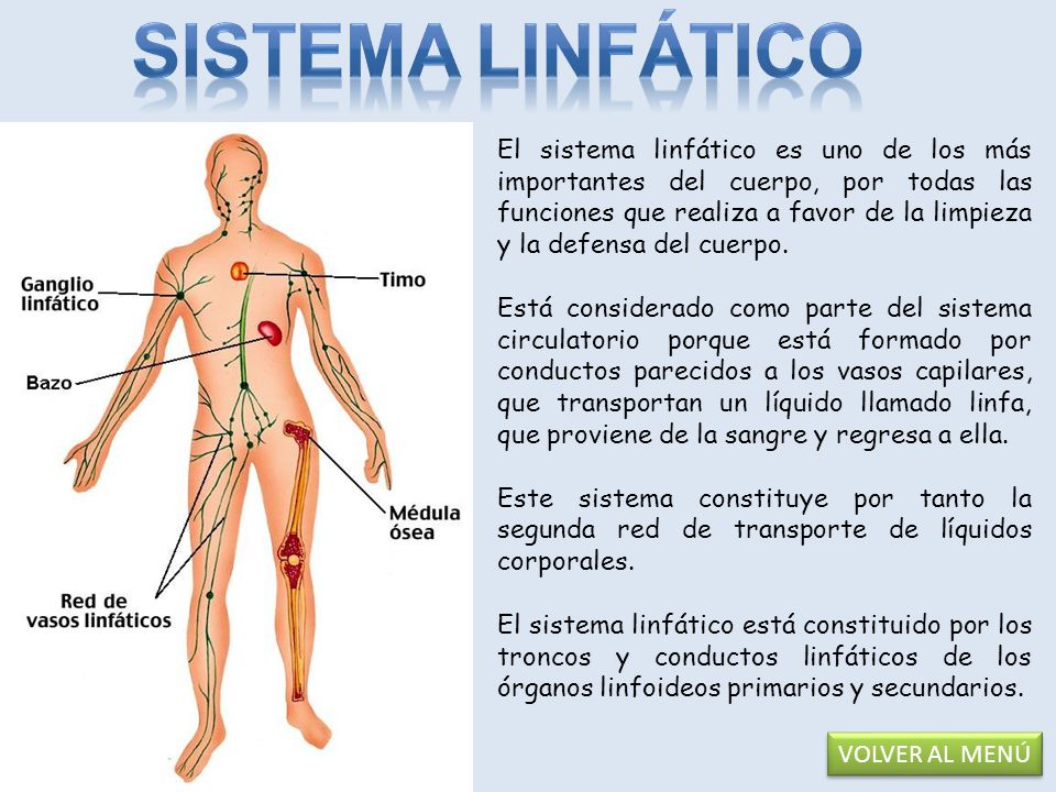 Que hacen las bacterias los parásitos